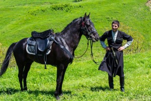 Photos, description Kabarda horse breed, characteristic for home breeding
